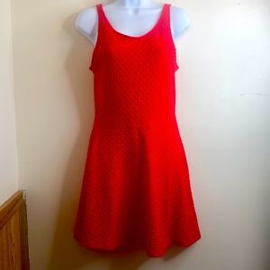 Women’s Divided Dress